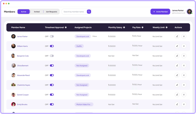 Staffic Members management view for team hours and projects